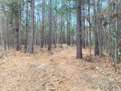 Homesite location in Gilmer, TX - image 4