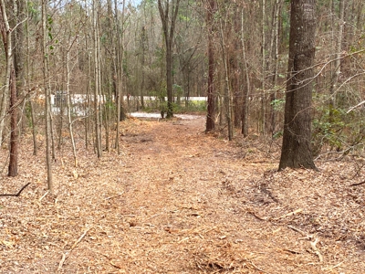 Homesite location in Gilmer, TX - image 12