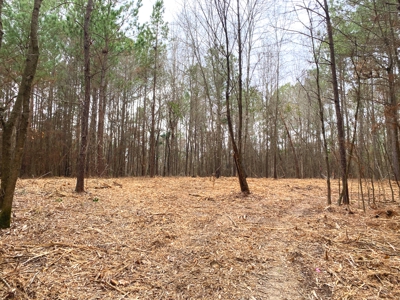 Homesite location in Gilmer, TX - image 5