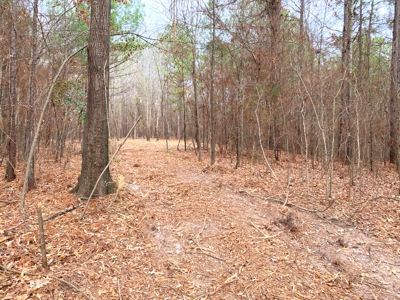 Homesite location in Gilmer, TX - image 11