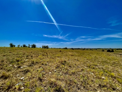 80 Acres - Noble County - Deer/Quail Hunting - image 16