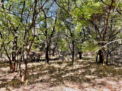 80 Acres - Noble County - Deer/Quail Hunting - image 13