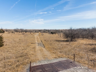 80 Acres - Noble County - Deer/Quail Hunting - image 2