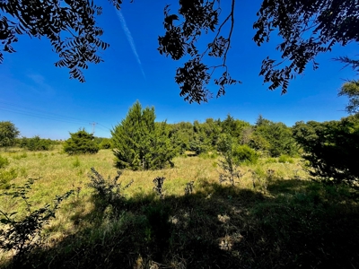 80 Acres - Noble County - Deer/Quail Hunting - image 18