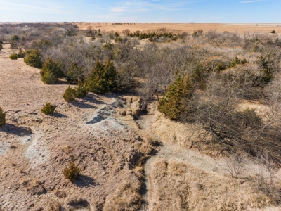 80 Acres - Noble County - Deer/Quail Hunting - image 5