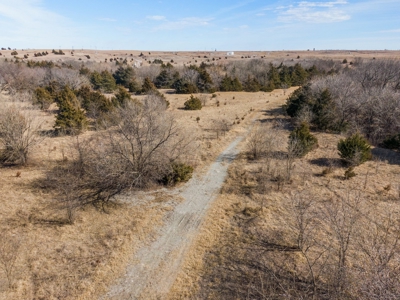 80 Acres - Noble County - Deer/Quail Hunting - image 3