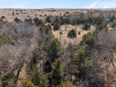 80 Acres - Noble County - Deer/Quail Hunting - image 4