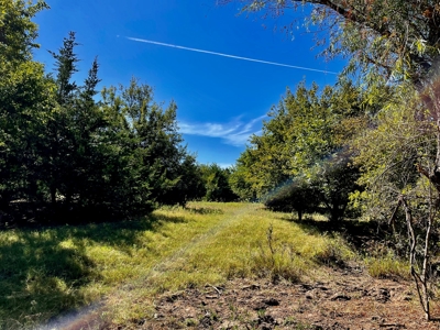 80 Acres - Noble County - Deer/Quail Hunting - image 12