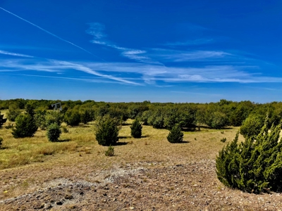 80 Acres - Noble County - Deer/Quail Hunting - image 14