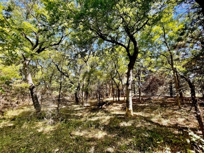 80 Acres - Noble County - Deer/Quail Hunting - image 20