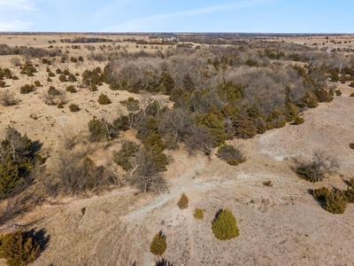 80 Acres - Noble County - Deer/Quail Hunting - image 6