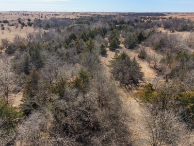 80 Acres - Noble County - Deer/Quail Hunting - image 7