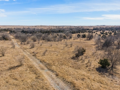 80 Acres - Noble County - Deer/Quail Hunting - image 1