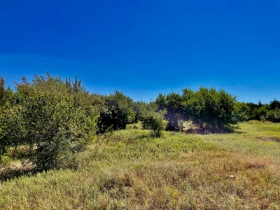 80 Acres - Noble County - Deer/Quail Hunting - image 11