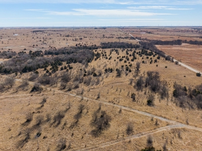 80 Acres - Noble County - Deer/Quail Hunting - image 8