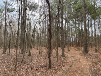 Land for Sale Gilmer, TX - image 7