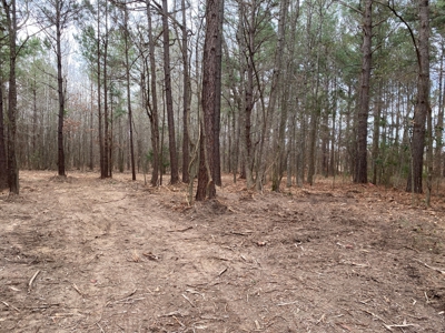 Land for Sale Gilmer, TX - image 11