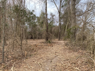 Land for Sale Gilmer, TX - image 5