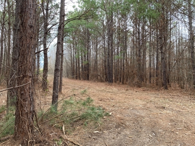 Land for Sale Gilmer, TX - image 9