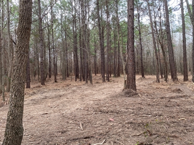 Land for Sale Gilmer, TX - image 10