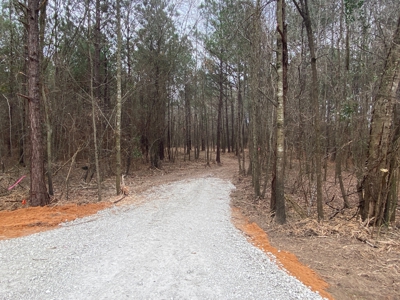 Land for Sale Gilmer, TX - image 1