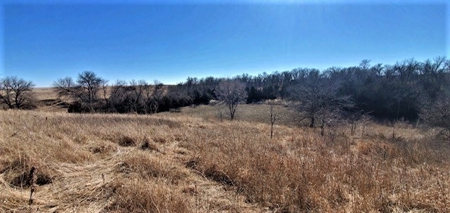 Gosper County Nebraska  Farmland And Hunting Farm  Auction - image 29