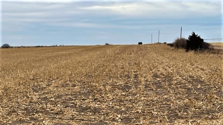 Gosper County Nebraska  Farmland And Hunting Farm  Auction - image 25
