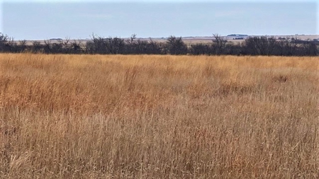 Gosper County Nebraska  Farmland And Hunting Farm  Auction - image 26