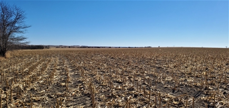 Gosper County Nebraska  Farmland And Hunting Farm  Auction - image 13