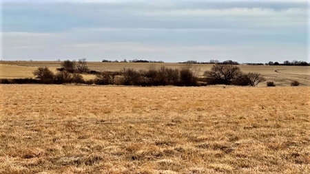 Gosper County Nebraska  Farmland And Hunting Farm  Auction - image 21