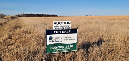 Gosper County Nebraska  Farmland And Hunting Farm  Auction - image 9