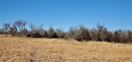 Gosper County Nebraska  Farmland And Hunting Farm  Auction - image 14