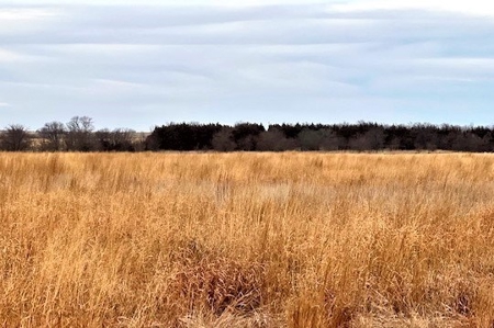 Gosper County Nebraska  Farmland And Hunting Farm  Auction - image 10