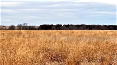 Gosper County Nebraska  Farmland And Hunting Farm  Auction - image 1