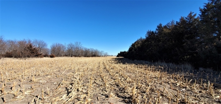 Gosper County Nebraska  Farmland And Hunting Farm  Auction - image 12