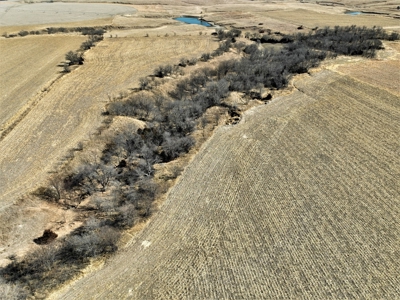 Gosper County Nebraska  Farmland And Hunting Farm  Auction - image 40