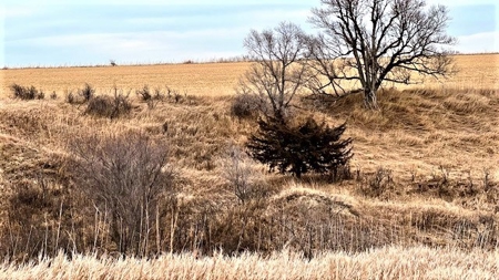 Gosper County Nebraska  Farmland And Hunting Farm  Auction - image 23