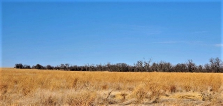 Gosper County Nebraska  Farmland And Hunting Farm  Auction - image 30