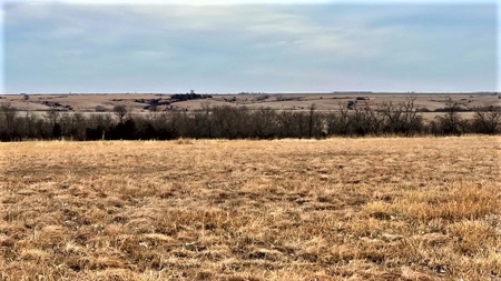 Gosper County Nebraska  Farmland And Hunting Farm  Auction - image 20