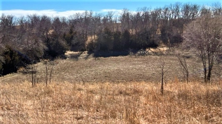 Gosper County Nebraska  Farmland And Hunting Farm  Auction - image 37