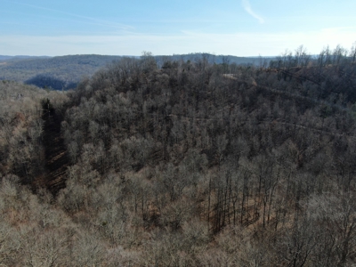 New Tazewell- Claiborne County TN-Lake Access Lot for Sale - image 11