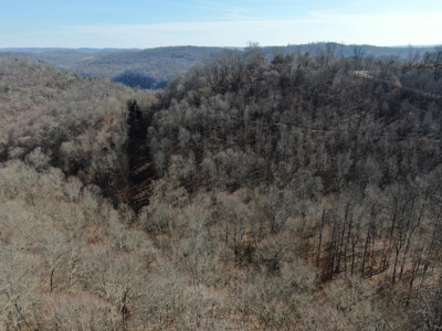 New Tazewell- Claiborne County TN-Lake Access Lot for Sale - image 2