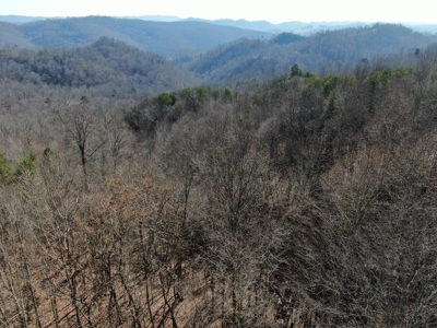 New Tazewell- Claiborne County TN-Lake Access Lot for Sale - image 18