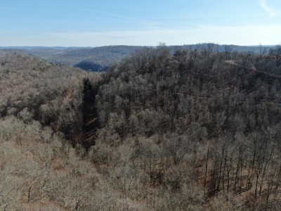 New Tazewell- Claiborne County TN-Lake Access Lot for Sale - image 1