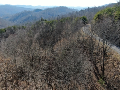 New Tazewell- Claiborne County TN-Lake Access Lot for Sale - image 17