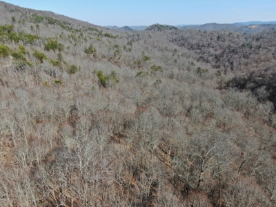 New Tazewell- Claiborne County TN-Lake Access Lot for Sale - image 6