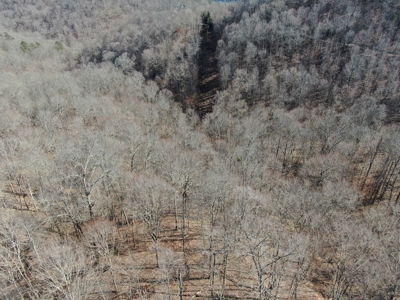 New Tazewell- Claiborne County TN-Lake Access Lot for Sale - image 3