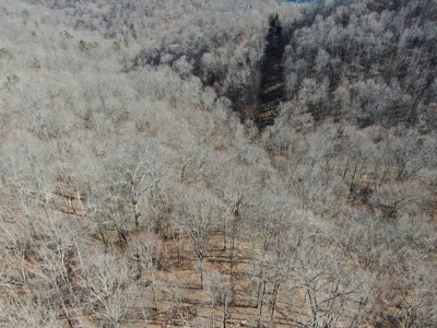 New Tazewell- Claiborne County TN-Lake Access Lot for Sale - image 4