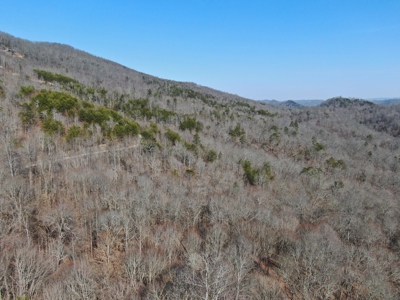 New Tazewell- Claiborne County TN-Lake Access Lot for Sale - image 8