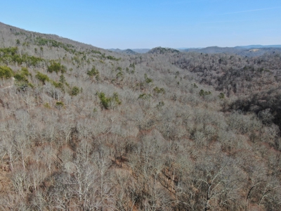 New Tazewell- Claiborne County TN-Lake Access Lot for Sale - image 7